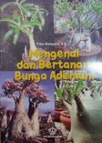 Image of NASEHAT BUAT YANG SAKIT